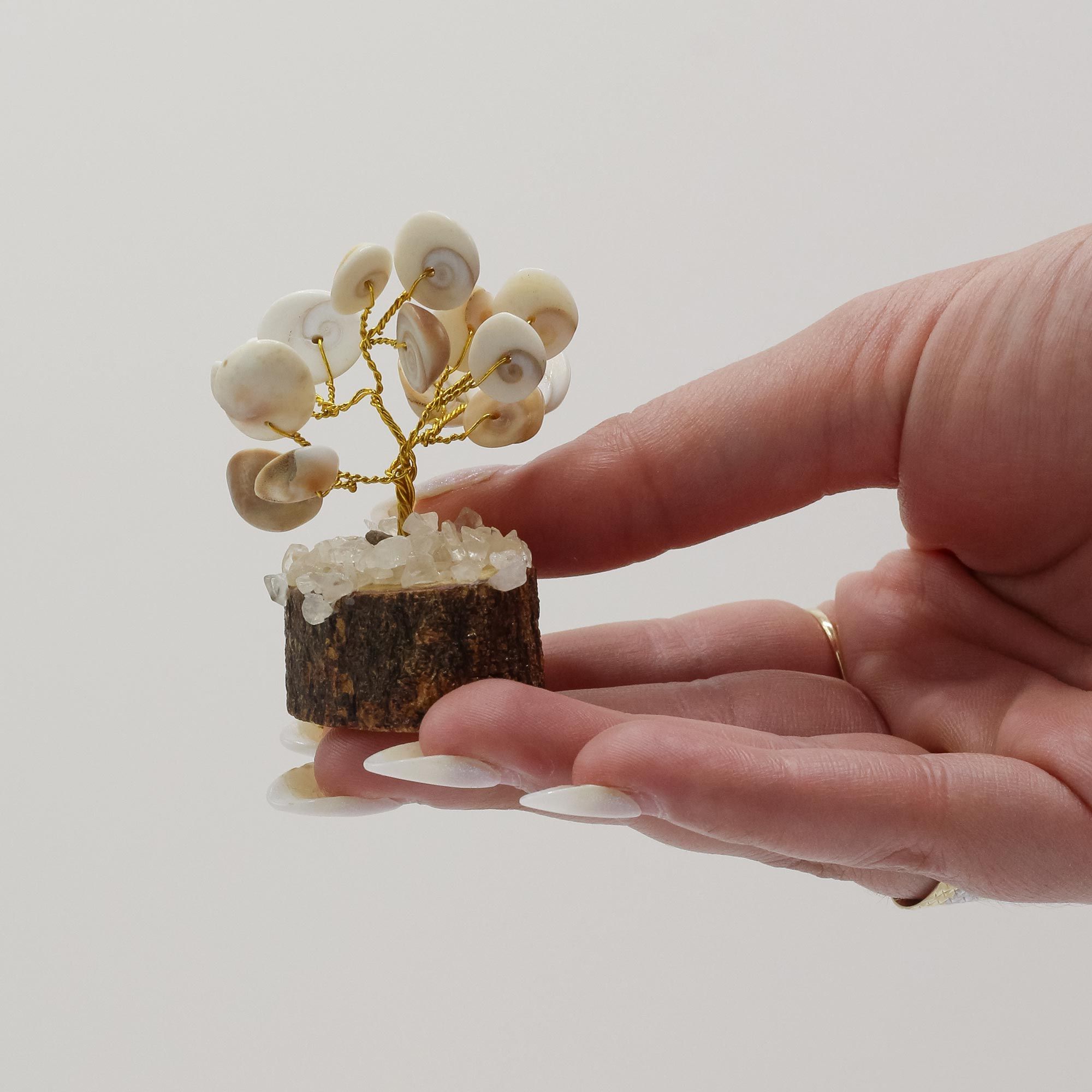 Pequeño Gomati Chakra Árboles de Piedra Círculo con Rudraksha - (15 piedras) - Imagen 4